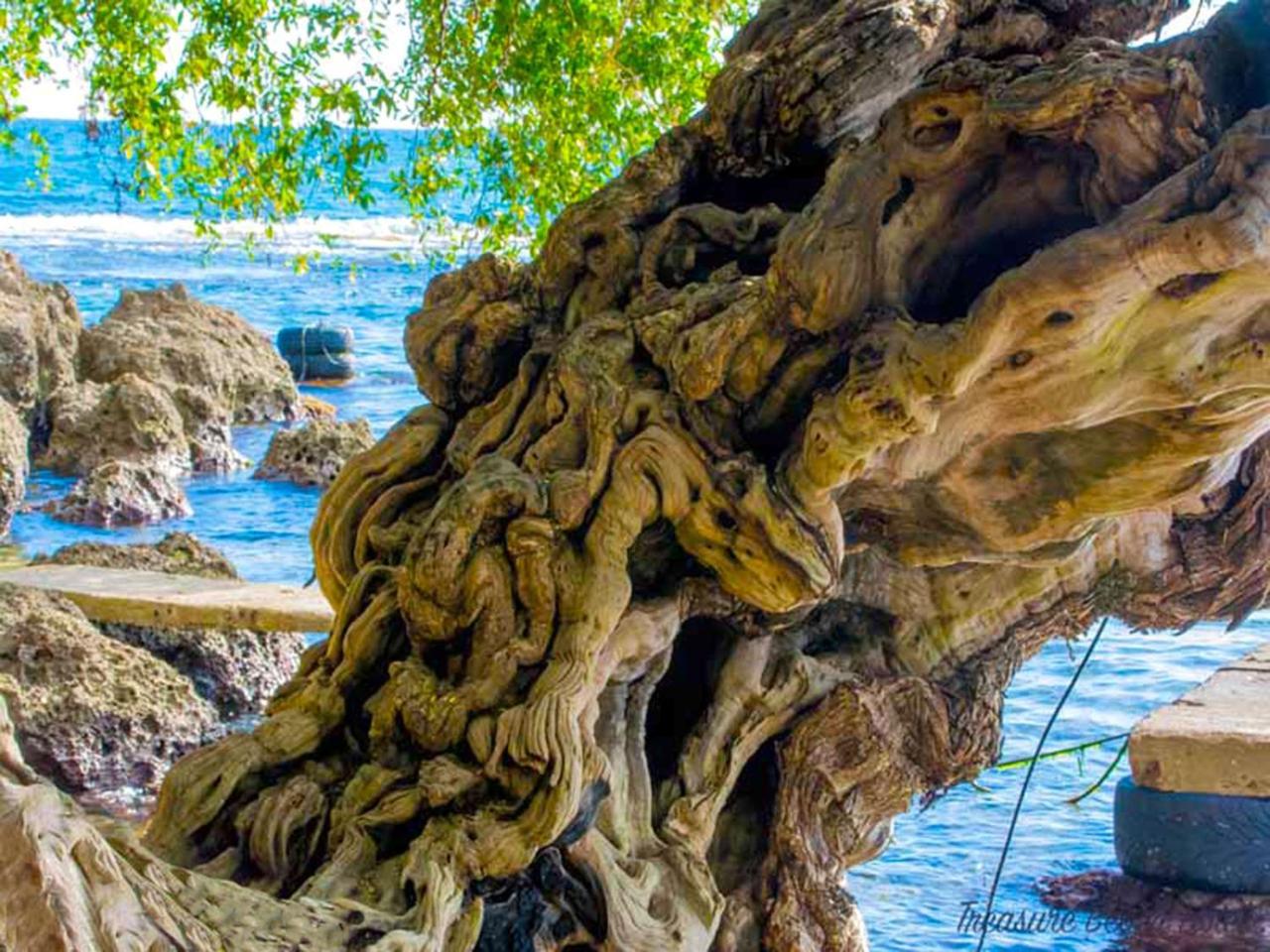 Treasure Beach Hotel Dış mekan fotoğraf